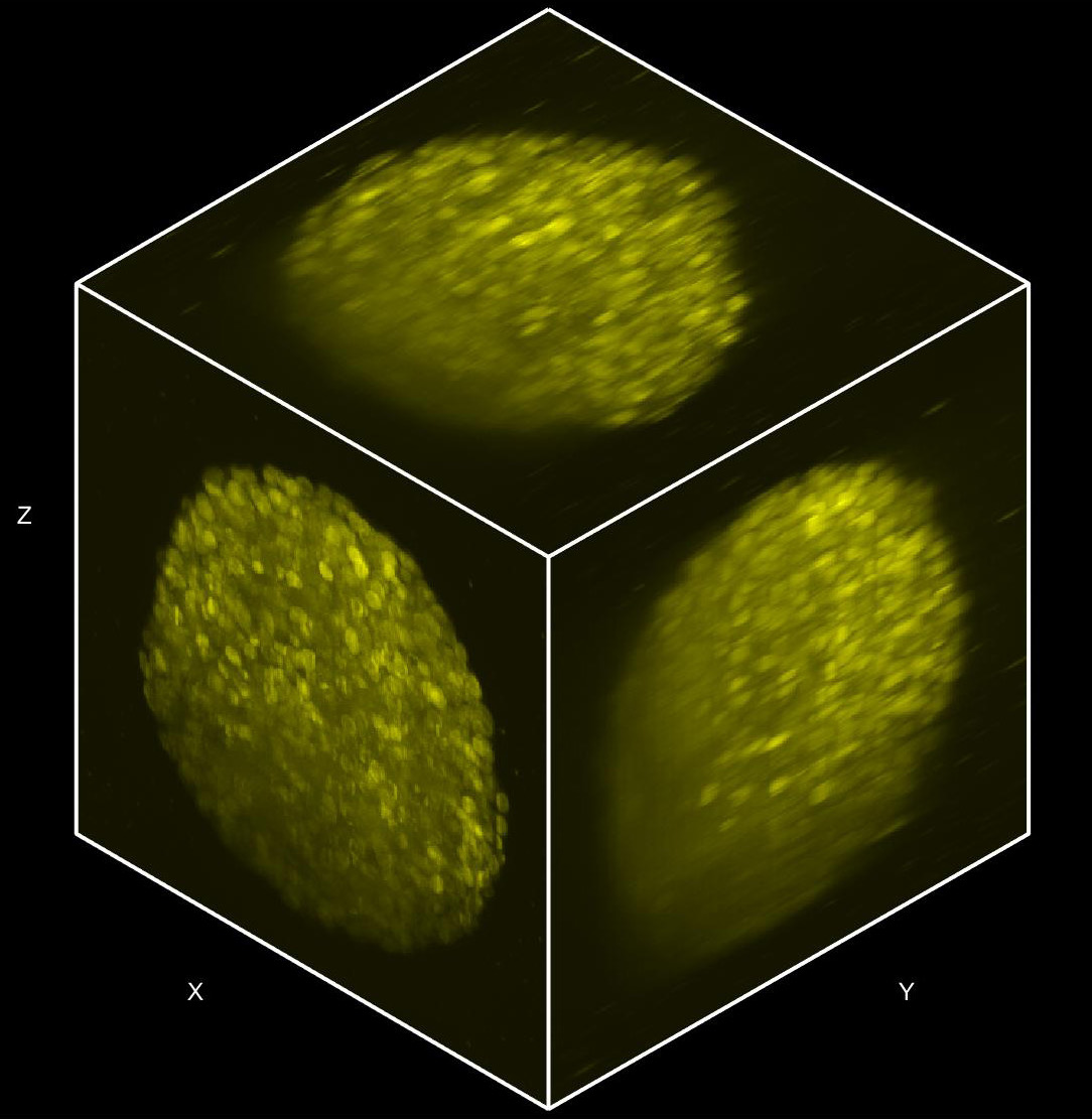 High resolution Image of a cube